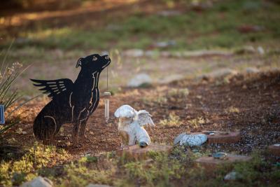 Two memorial statues of dogs with angel wings