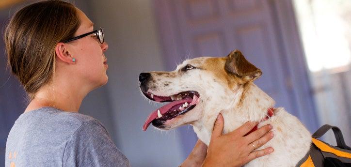 Animal caretaker looking into dog's eyes