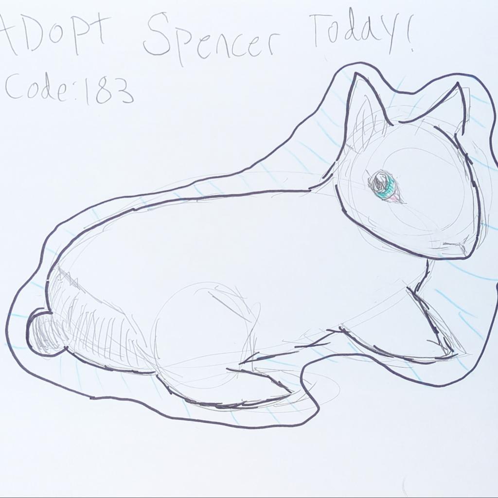 Adoptable Male Male